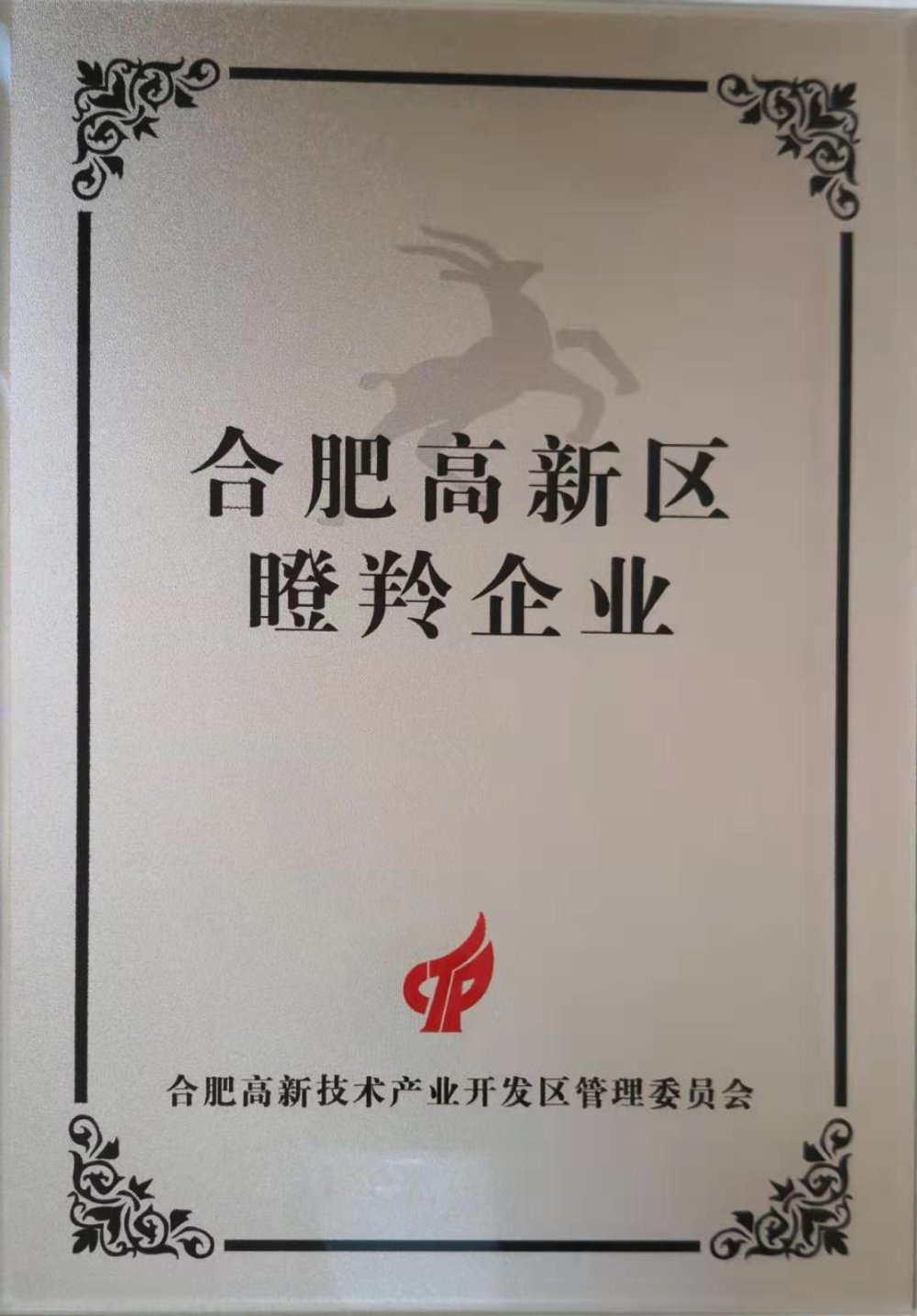 High-growth Gazelle Enterprise