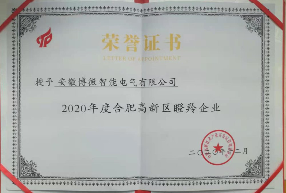 2020 Hefei High-tech Zone Gazelle Enterprise